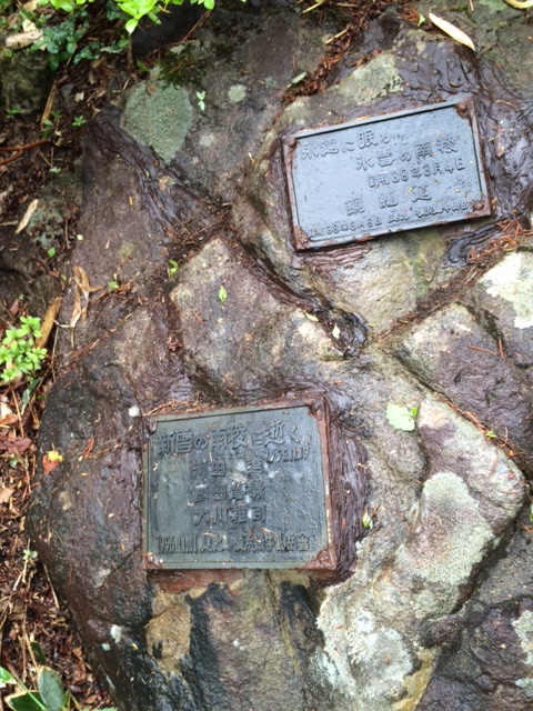 ��m�q���������