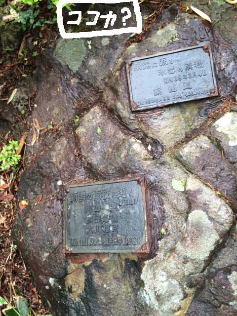 ��m�q���������