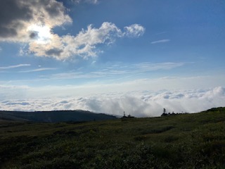 image12.jpeg