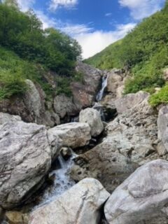 image18.jpeg
