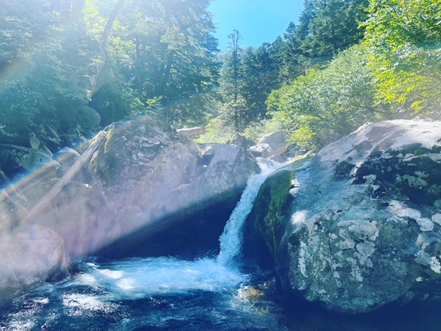 image8.jpeg
