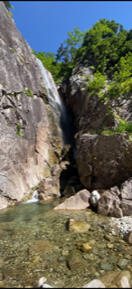 image9.png