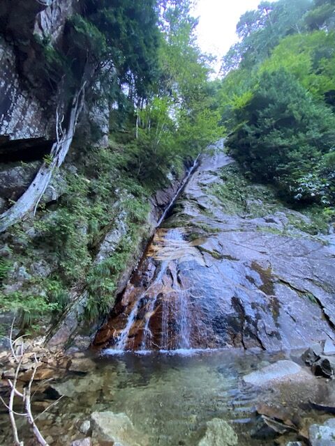 image6.jpeg