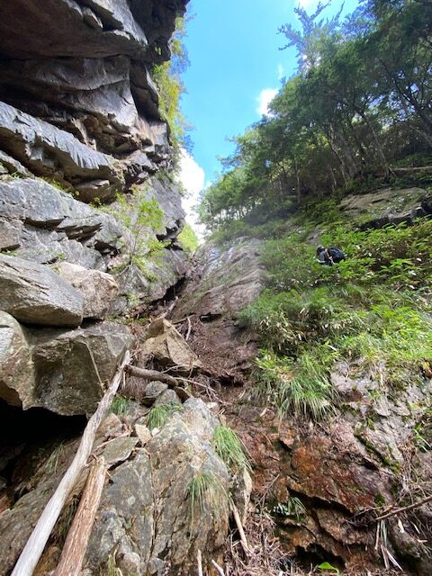 image8.jpeg