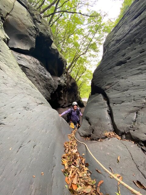 image7.jpeg