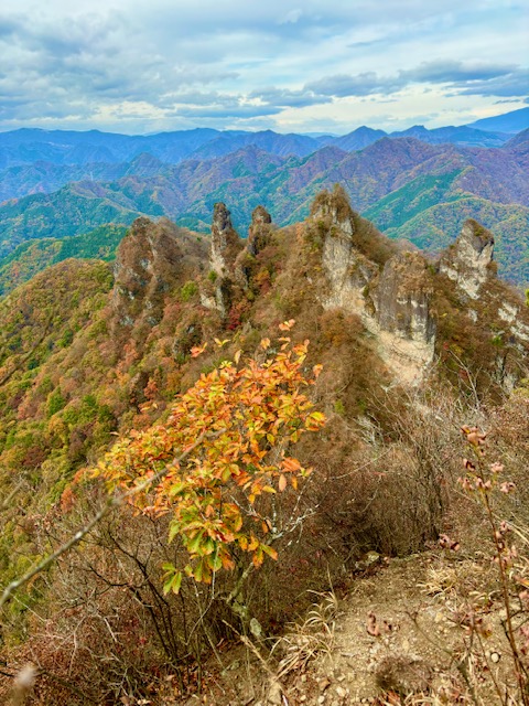 image9.jpeg