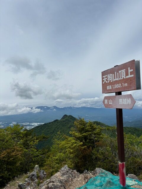 image9.jpeg