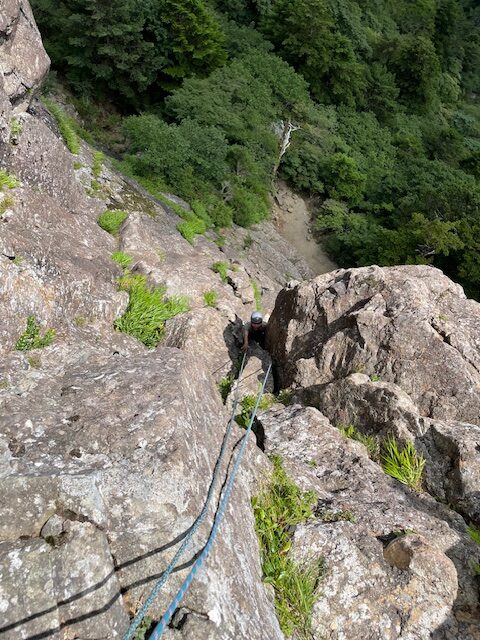 image5.jpeg